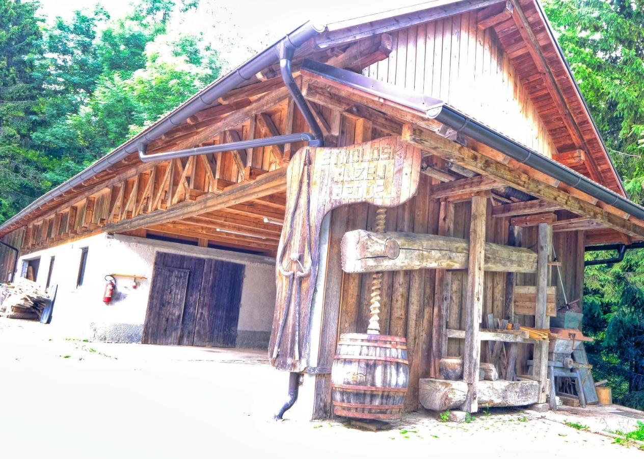 Luxusní stan Glamping Brodej *